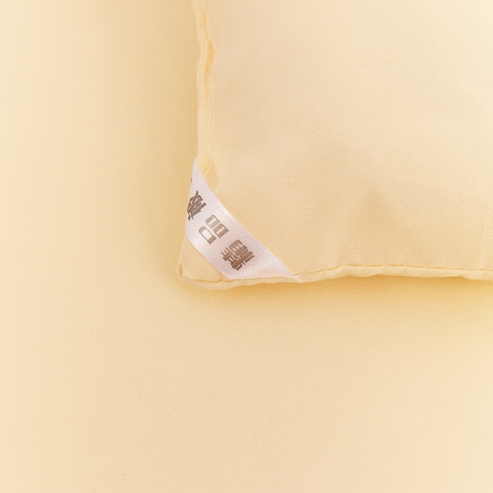 91家纺网 家纺一手货源 找家纺 VIP被业 2025新款简约纯色磨毛压被冬被被子被芯 米黄