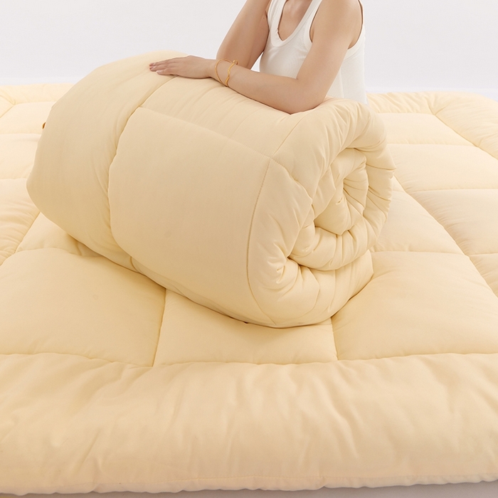 91家纺网 家纺一手货源 找家纺 VIP被业 2025新款简约纯色磨毛压被冬被被子被芯 米黄