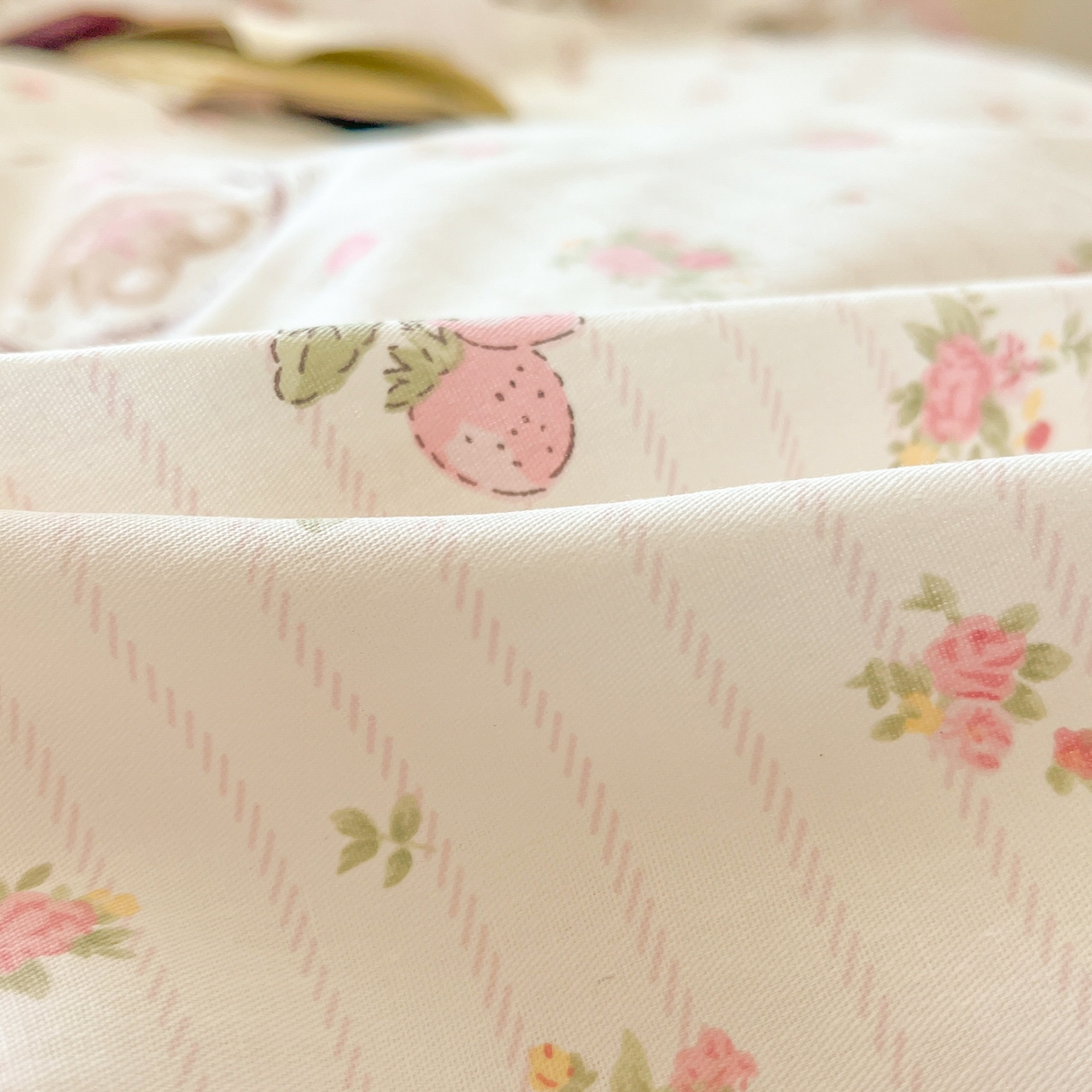 91家纺网 家纺一手货源 找家纺 花梦欣 2025新款全棉纯棉印花单品系列-多规格枕套单品枕套枕套单件 云朵相馆