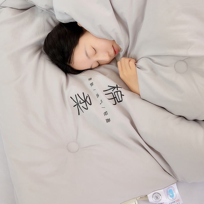 91家纺网 家纺一手货源 找家纺 VIP被业 2025新款简约棉柔水洗棉被芯冬被被子被芯 绵柔灰