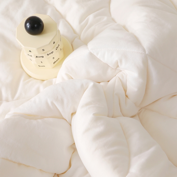 91家纺网 家纺一手货源 找家纺 （总）鱼宝 2025新款幼儿园大豆被芯垫芯枕芯多件套