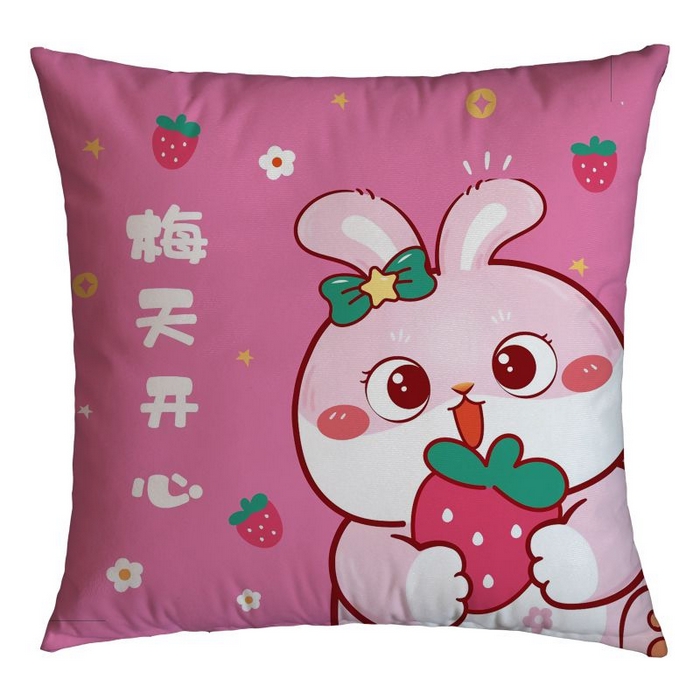 永乐枕芯 2025新款热款卡通居家小抱枕沙发靠垫（颜色随机） 每天开心