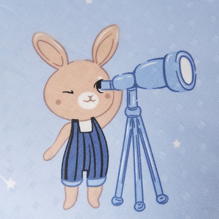 91家纺网 家纺一手货源 找家纺 小米枕芯 2025新款全棉儿童凉感冰爽柔软舒适亲肤枕头枕芯 蓝色星空【一对装】