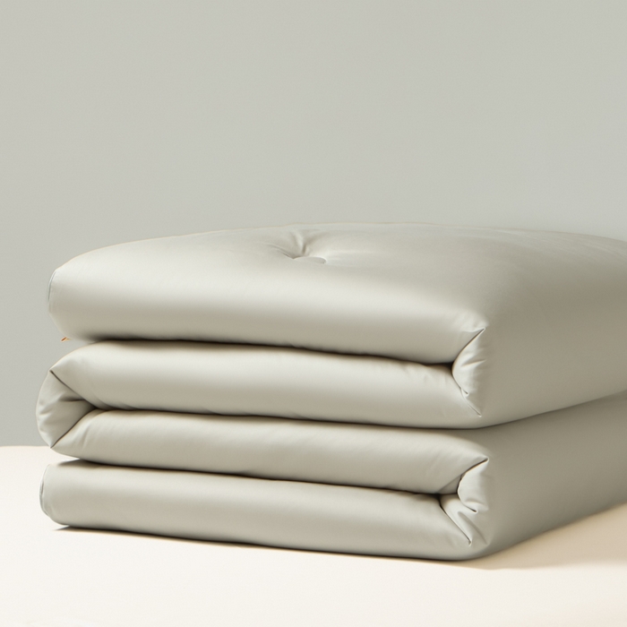 91家纺网 家纺一手货源 找家纺 纪梵茜 2025新款李官奇正品认证55%大豆被长绒棉大豆被子被芯全棉冬被 灰色