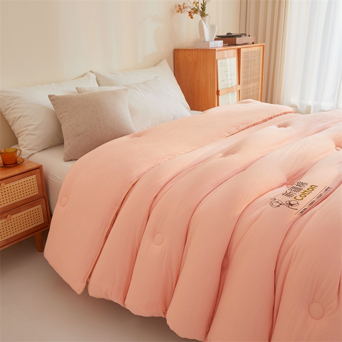 91家纺网 家纺一手货源 找家纺 好福居 2025新款A类水洗棉100%新疆棉花被棉絮春秋被冬被被子被芯 浅玉