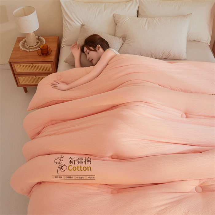 91家纺网 家纺一手货源 找家纺 好福居 2025新款A类水洗棉100%新疆棉花被棉絮春秋被冬被被子被芯 浅玉