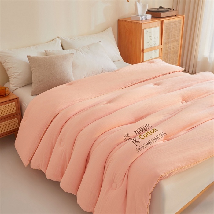 91家纺网 家纺一手货源 找家纺 好福居 2025新款A类水洗棉100%新疆棉花被棉絮春秋被冬被被子被芯 浅玉