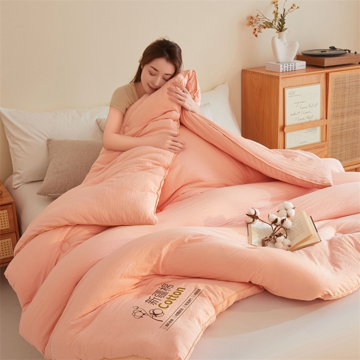 91家纺网 家纺一手货源 找家纺 好福居 2025新款A类水洗棉100%新疆棉花被棉絮春秋被冬被被子被芯 浅玉