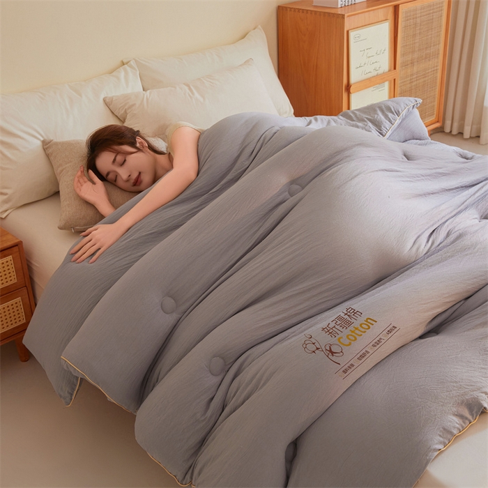 91家纺网 家纺一手货源 找家纺 好福居 2025新款A类水洗棉100%新疆棉花被棉絮春秋被冬被被子被芯 浅灰