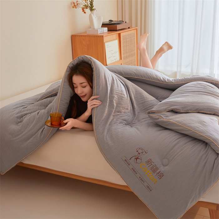 91家纺网 家纺一手货源 找家纺 好福居 2025新款A类水洗棉100%新疆棉花被棉絮春秋被冬被被子被芯 浅灰