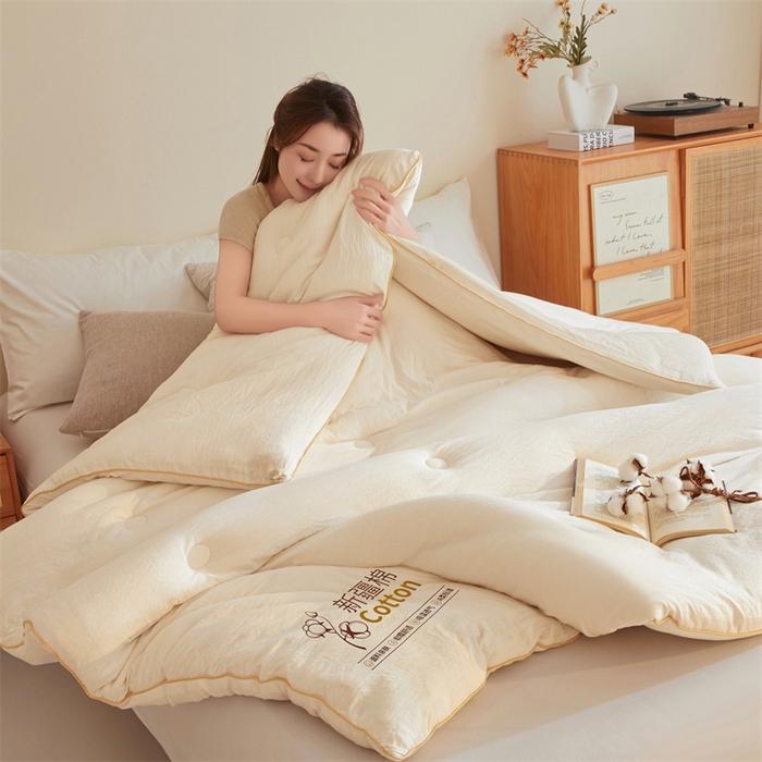 91家纺网 家纺一手货源 找家纺 锦逸家居 2025新款A类水洗棉100%新疆棉花被棉絮春秋被冬被被子被芯 米白色