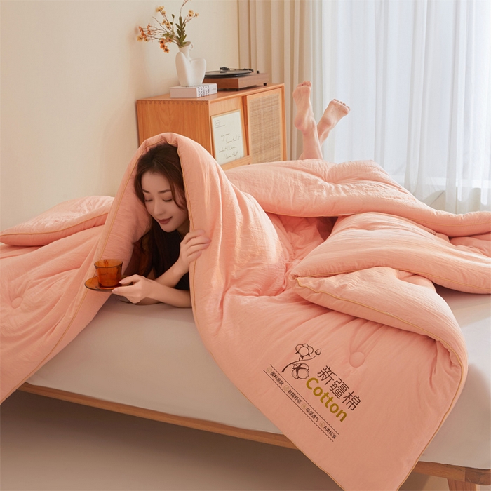 91家纺网 家纺一手货源 找家纺 锦逸家居 2025新款A类水洗棉100%新疆棉花被棉絮春秋被冬被被子被芯 玉粉色