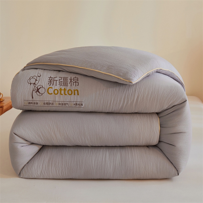 锦逸家居 2025新款A类水洗棉100%新疆棉花被棉絮春秋被冬被被子被芯 高级灰