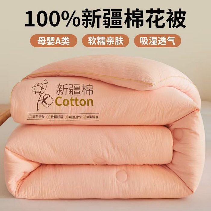 好福居 2025新款A类水洗棉100%新疆棉花被棉絮春秋被冬被被子被芯 浅玉