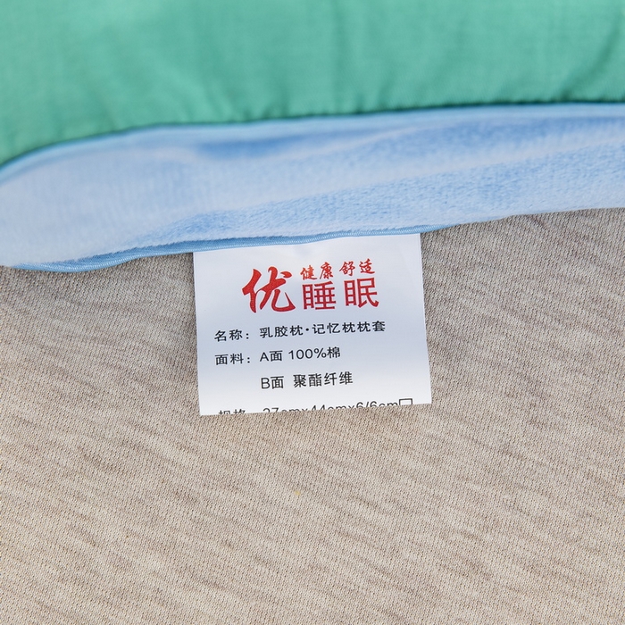 91家纺网 家纺一手货源 找家纺 大黄蜂家居家纺 2025新款全棉13372棉儿童卡通乳胶枕套 假日恐龙