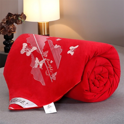 91家纺网 家纺一手货源 找家纺 （总）恒鑫 2025新款全棉绣花桑蚕丝冬被春秋被拉链二合一子母被