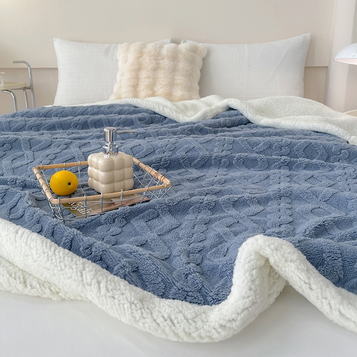 91家纺网 家纺一手货源 找家纺 （总）馨乐家纺 2025新款塔芙绒羊羔绒双层毛毯系列