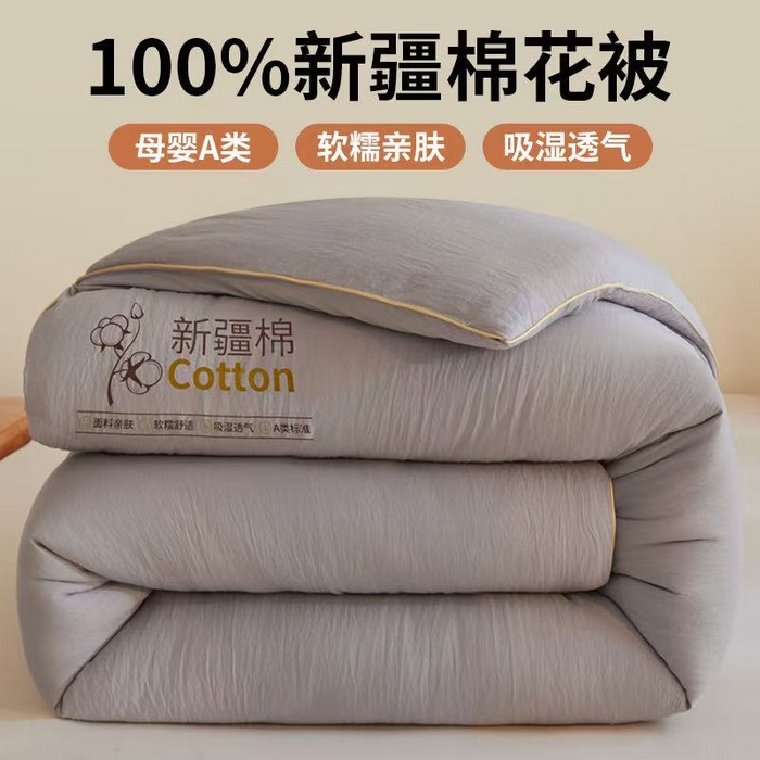 91家纺网 家纺一手货源 找家纺 南北家居 2025新款A类水洗棉100%新疆棉花被棉絮春秋被冬被被子被芯 浅灰