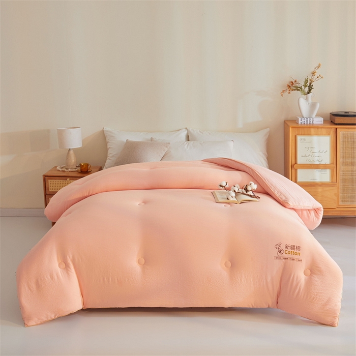 91家纺网 家纺一手货源 找家纺 南北家居 2025新款A类水洗棉100%新疆棉花被棉絮春秋被冬被被子被芯 浅玉