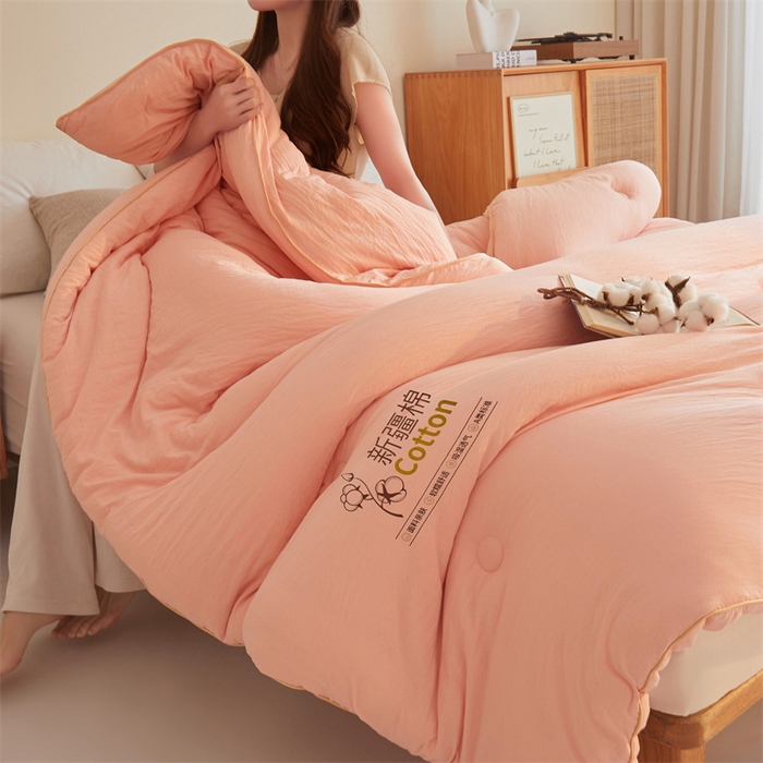 91家纺网 家纺一手货源 找家纺 南北家居 2025新款A类水洗棉100%新疆棉花被棉絮春秋被冬被被子被芯 浅玉