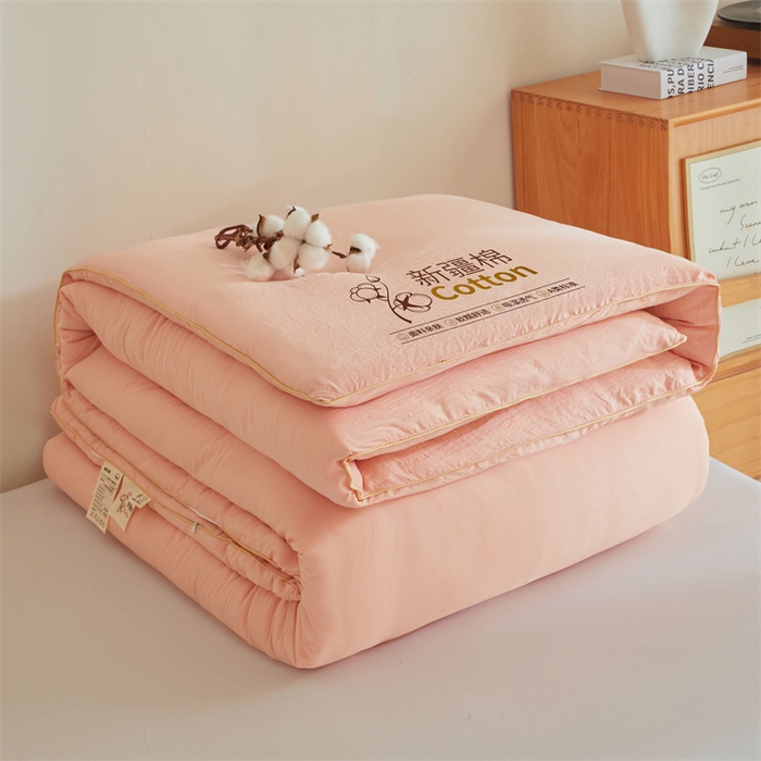 91家纺网 家纺一手货源 找家纺 南北家居 2025新款A类水洗棉100%新疆棉花被棉絮春秋被冬被被子被芯 浅玉