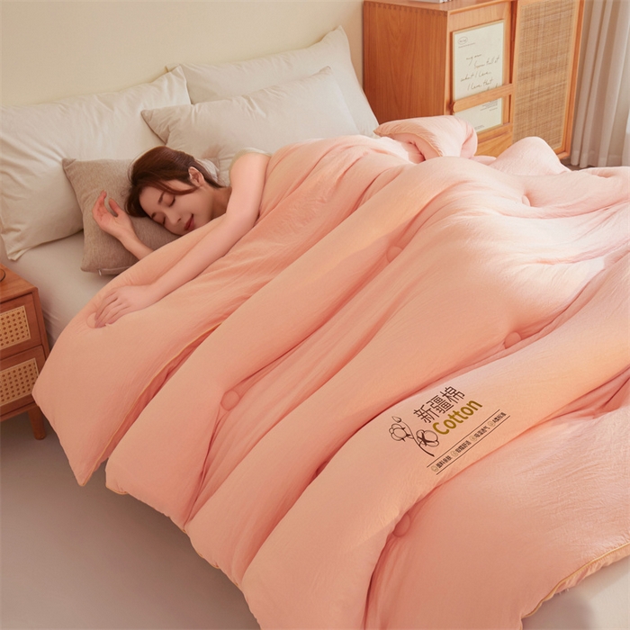 91家纺网 家纺一手货源 找家纺 南北家居 2025新款A类水洗棉100%新疆棉花被棉絮春秋被冬被被子被芯 浅玉