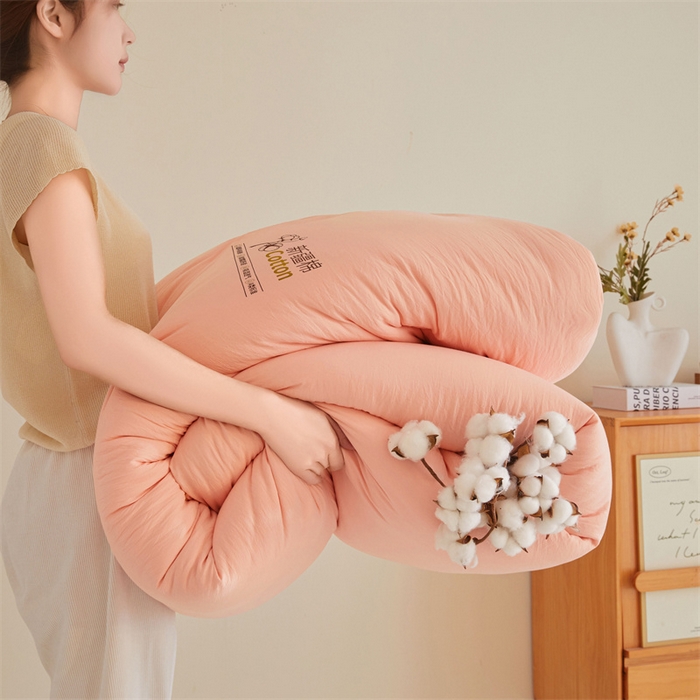 91家纺网 家纺一手货源 找家纺 南北家居 2025新款A类水洗棉100%新疆棉花被棉絮春秋被冬被被子被芯 浅玉