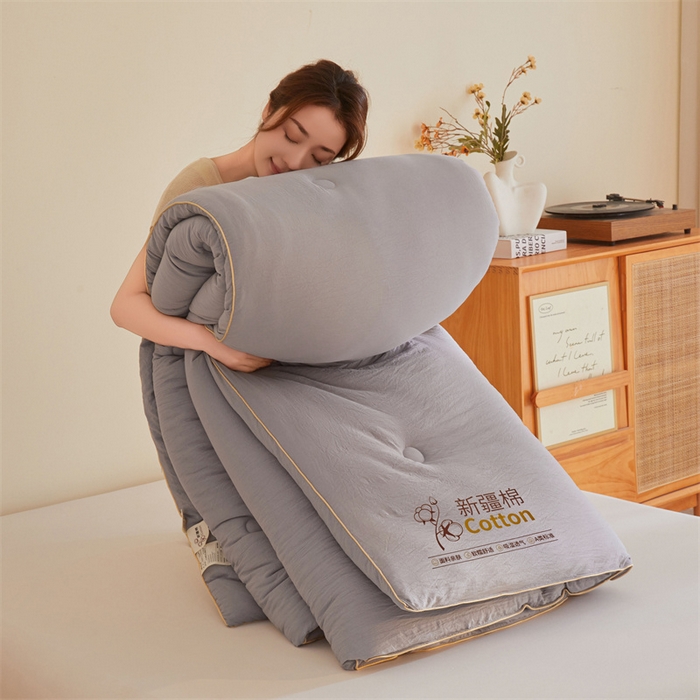 91家纺网 家纺一手货源 找家纺 南北家居 2025新款A类水洗棉100%新疆棉花被棉絮春秋被冬被被子被芯 浅灰