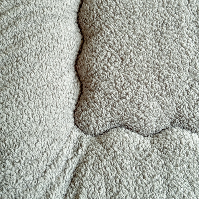 91家纺网 家纺一手货源 找家纺 吉祥家纺 2023新款牛奶绒羊羔绒春秋被冬被被芯跨境电商爆款深绿+灰