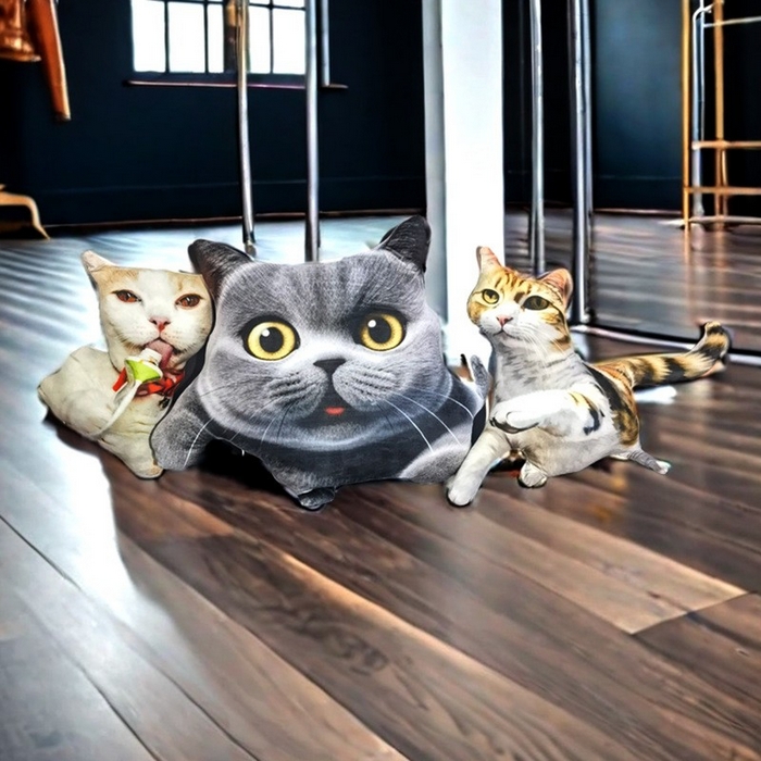 91家纺网 家纺一手货源 找家纺 （总）新奇异 2025新款异形心形抱枕靠垫靠枕diy来图来样定制