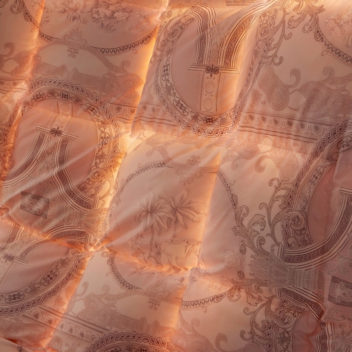 91家纺网 家纺一手货源 找家纺 织梦人羽绒工厂店2025新款羽绒被壳 爱丁堡豆沙