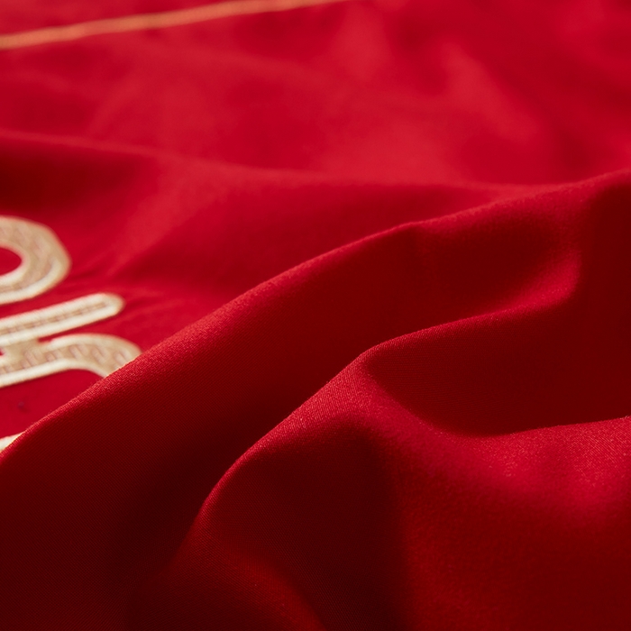 91家纺网 家纺一手货源 找家纺 （总）丰淘家纺 2025新款婚庆结婚磨毛刺绣大红枕套