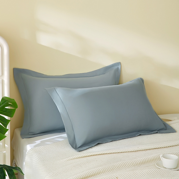 丰淘家纺 2025新款亲肤柔软纯色水洗磨毛枕套 纯色-蓝灰