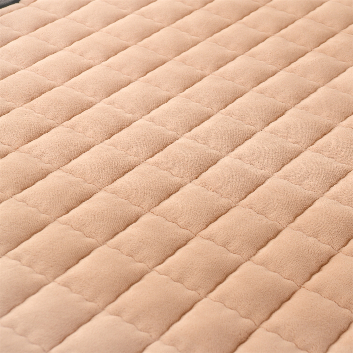 91家纺网 家纺一手货源 找家纺 云木里 2025新款240克臻棉绒和煦春风宿舍床垫上下铺床垫学生床- 和煦春风-米驼