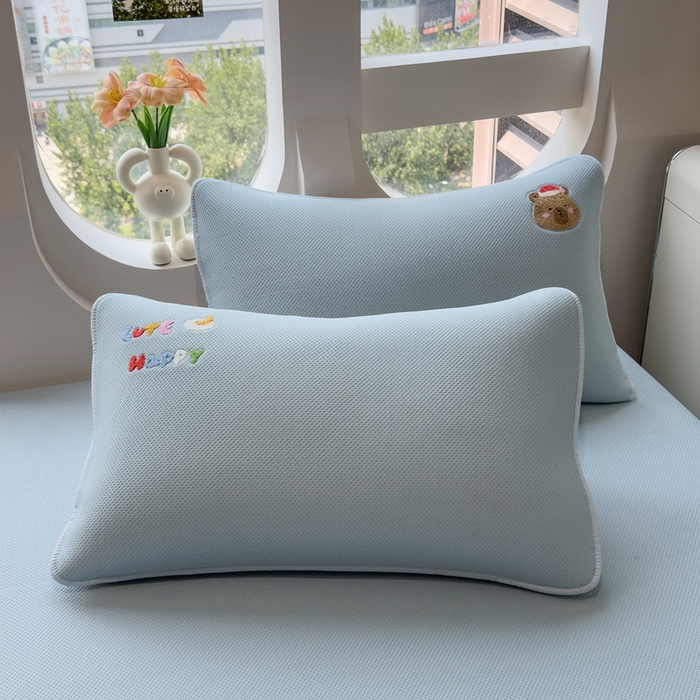 91家纺网 家纺一手货源 找家纺 莱家富 2025新款A类彩绒棉毛巾绣夹棉床笠三件套单床笠 萌趣卡皮巴拉-雾霭蓝