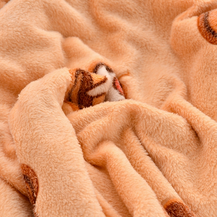 91家纺网 家纺一手货源 找家纺 牵梦萦 2025新款雪花绒小清新印花四件套 卡皮巴拉