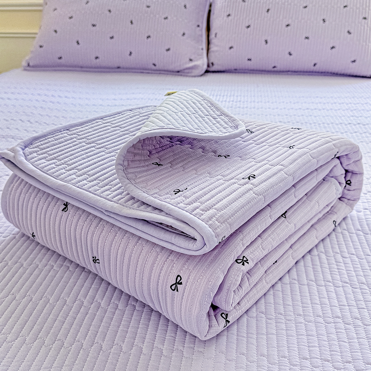 91家纺网 家纺一手货源 找家纺 恒尚居 2025新款双层纱床盖床盖单品单床盖云感夹棉床单床垫软床垫-四季款【系列二】 【紫萱】双层纱