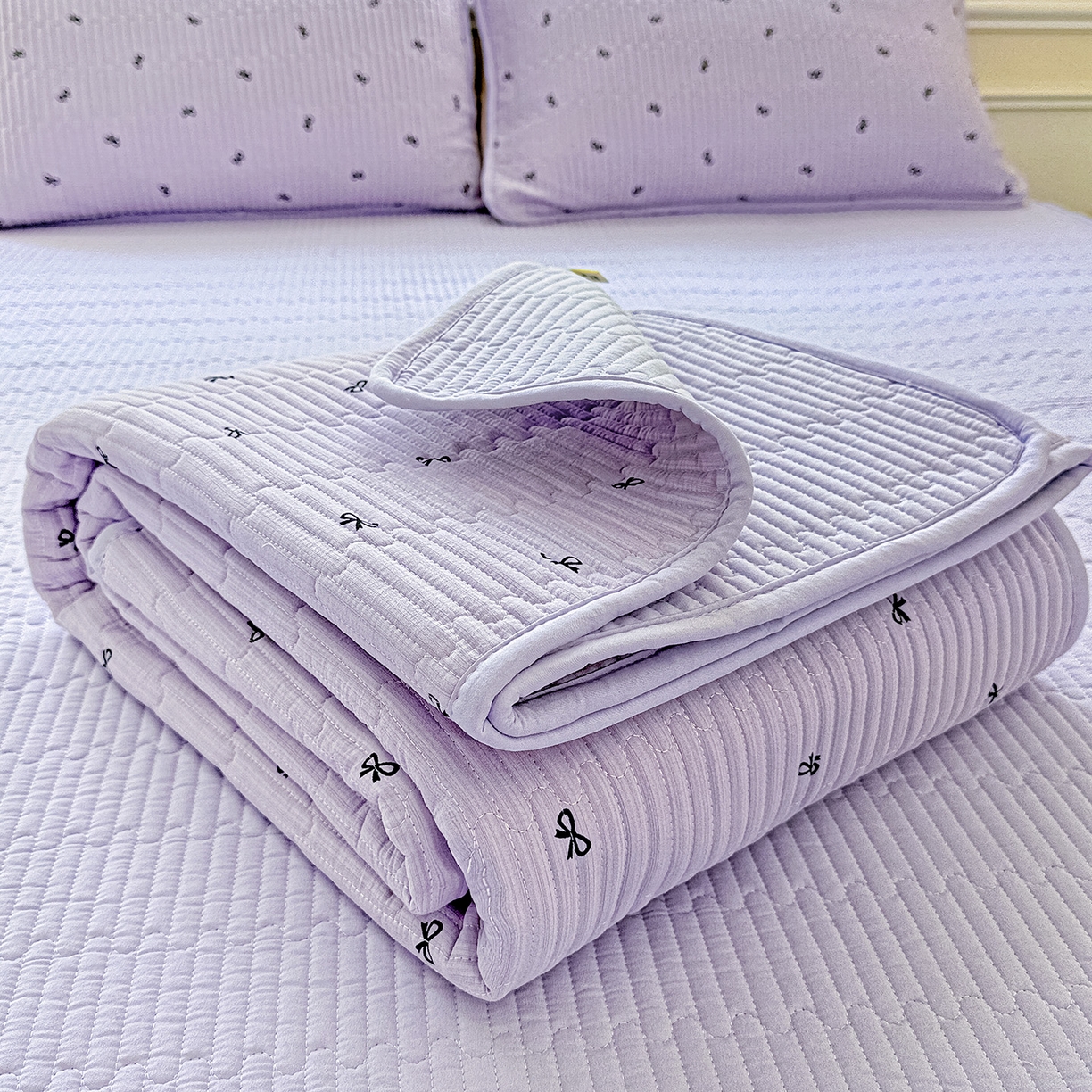 91家纺网 家纺一手货源 找家纺 恒尚居 2025新款双层纱床盖床盖单品单床盖云感夹棉床单床垫软床垫-四季款【系列二】 【紫萱】双层纱