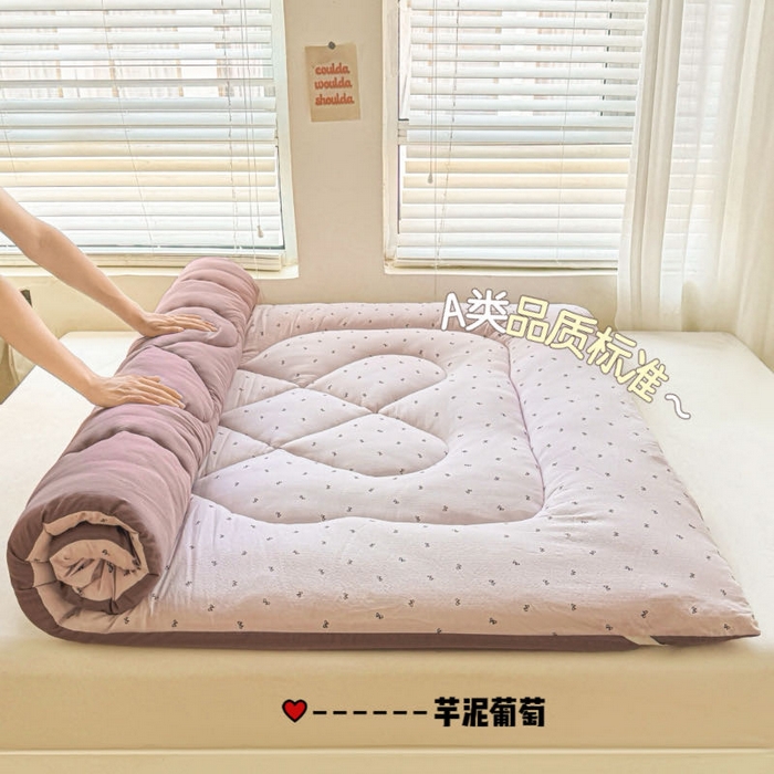 91家纺网 家纺一手货源 找家纺 （总）贝扬思家纺 2025新款云感双层纱软床垫床褥