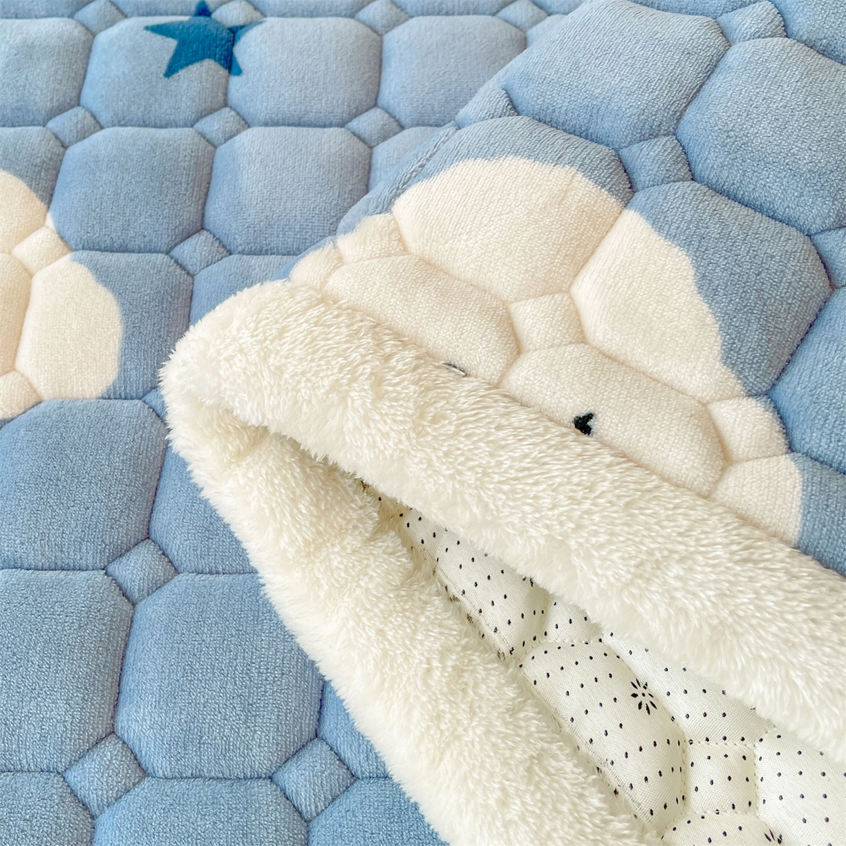 91家纺网 家纺一手货源 找家纺 雯豆家纺 2025新款加厚床垫床褥子牛奶绒床褥床护垫学生宿舍垫子铺底 牛奶绒床褥-星空小狗