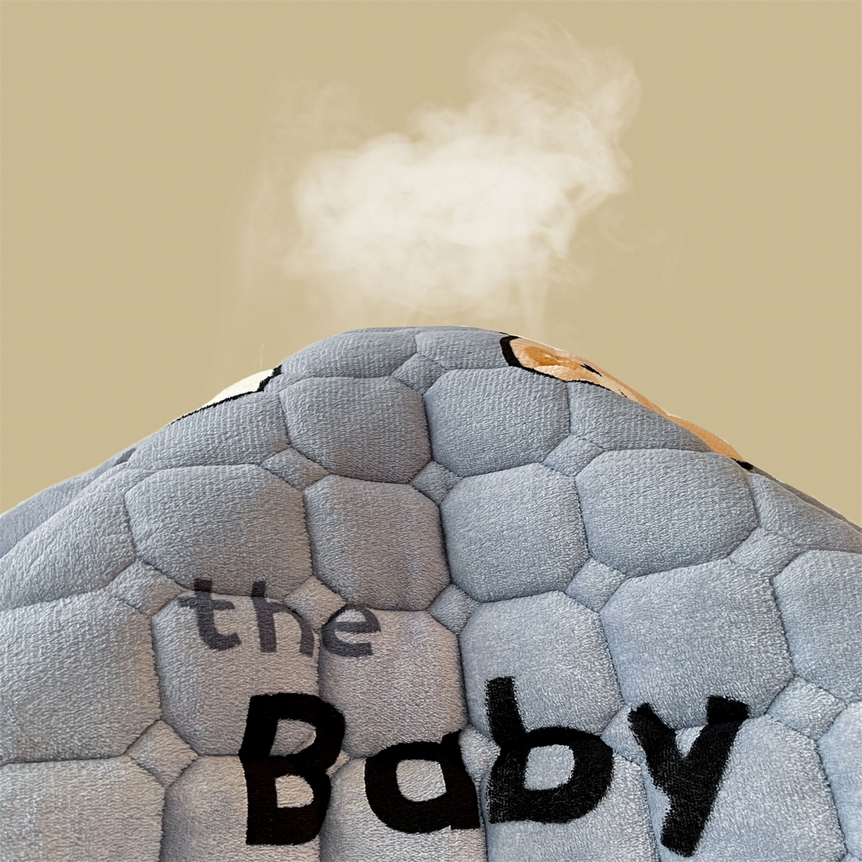 91家纺网 家纺一手货源 找家纺 雯豆家纺 2025新款加厚床垫床褥子牛奶绒床褥床护垫学生宿舍垫子铺底 牛奶绒床褥-云朵熊