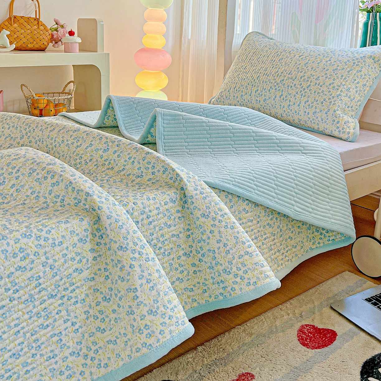 恒尚居 2025新款学生床盖纯棉牛奶绒 正反两用夹棉床单床垫-秋冬款 四季通用-系列二 雪兰【A纯棉-B宝宝绒】