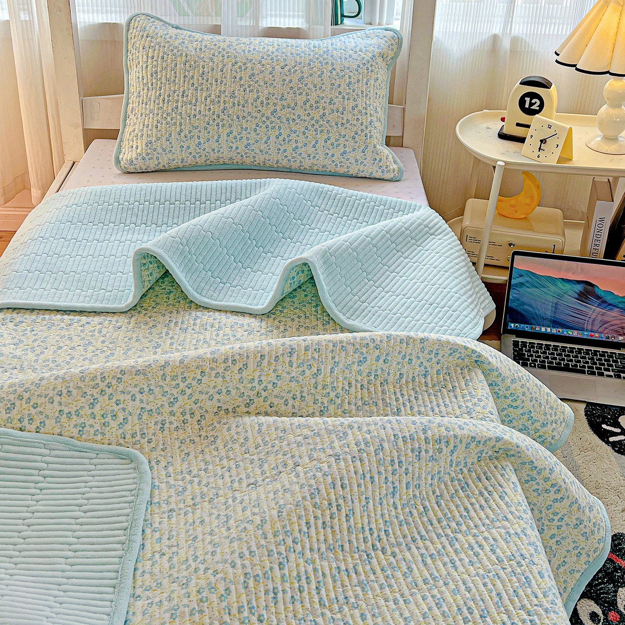 91家纺网 家纺一手货源 找家纺 恒尚居 2025新款学生床盖纯棉牛奶绒 正反两用夹棉床单床垫-秋冬款 四季通用-系列二 雪兰【A纯棉-B宝宝绒】