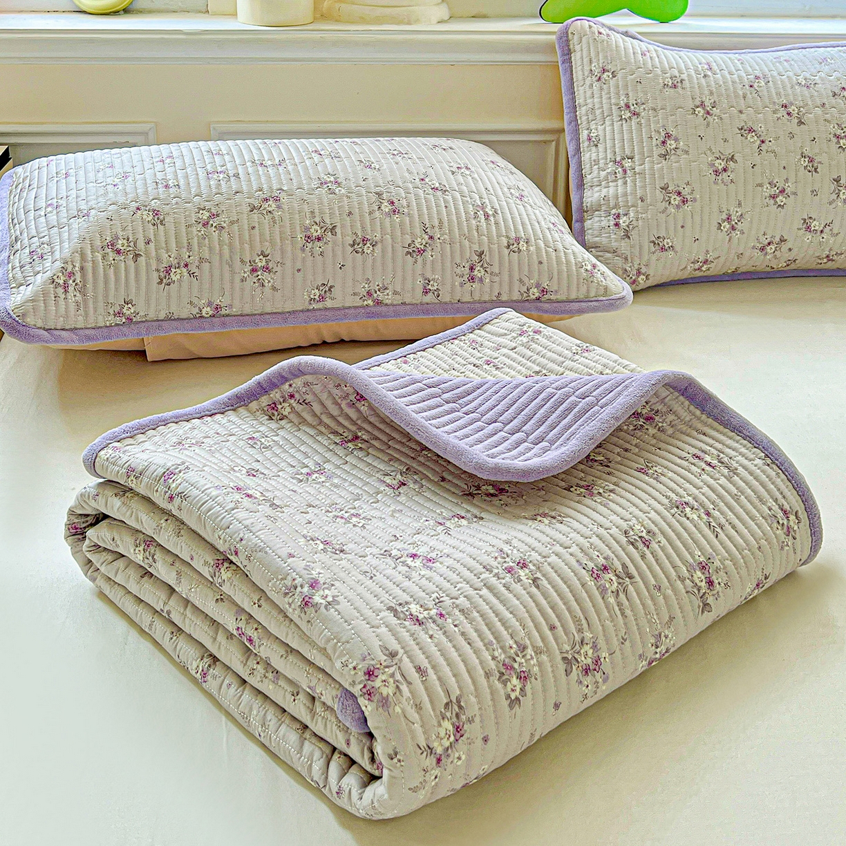 91家纺网 家纺一手货源 找家纺 恒尚居 2025新款学生床盖纯棉牛奶绒 正反两用夹棉床单床垫-秋冬款 四季通用-系列二 玉妃【A纯棉-B宝宝绒】