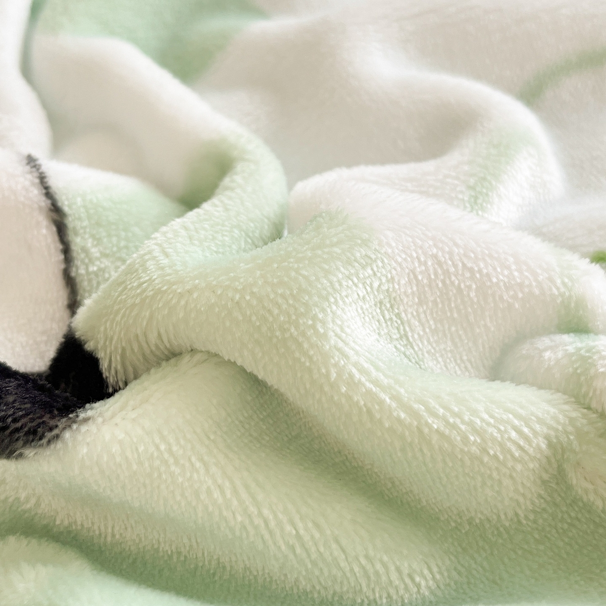 91家纺网 家纺一手货源 找家纺 雅萱-云貂绒毛毯法莱绒毛毯珊瑚绒毛毯羊羔绒毛毯 熊猫乐园-绿色