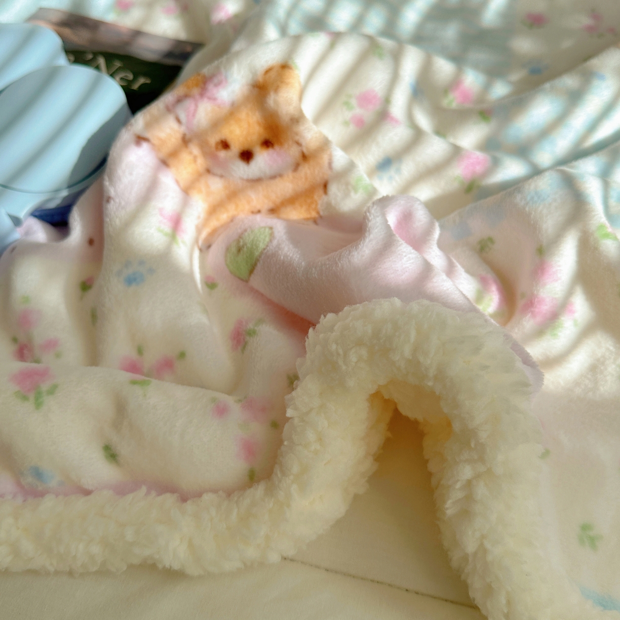 91家纺网 家纺一手货源 找家纺 萝莉家纺 2025新款小清新多功能牛奶绒羊羔绒毛毯毯子午睡毯 花园猫