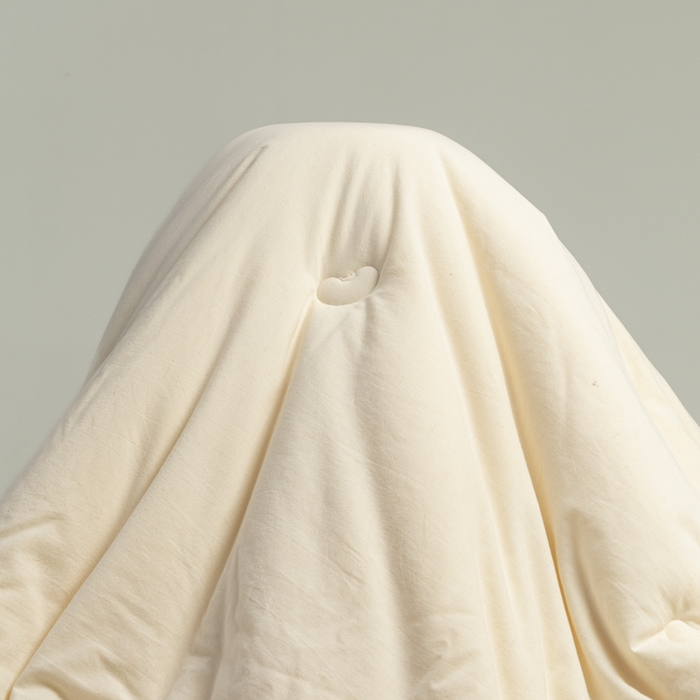 91家纺网 家纺一手货源 找家纺 （总）纪梵茜 2025新款雨露亚麻大豆被棉麻冬被李官奇正品全棉大豆子母被双胎被