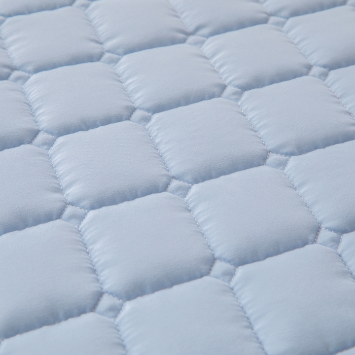 91家纺网 家纺一手货源 找家纺 拾小柒 2025新款A类原棉大豆纤维加厚床褥子床垫保护垫铺床款学生款 蓝 学生款