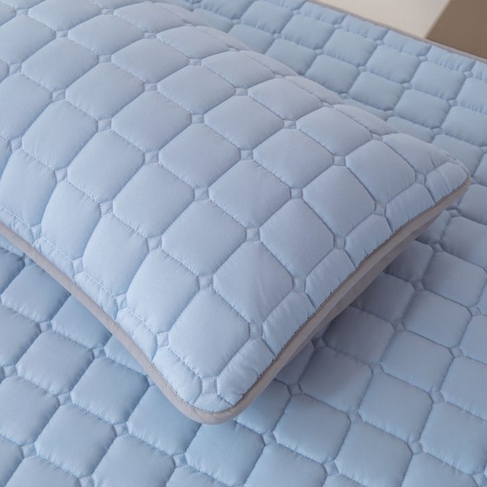 91家纺网 家纺一手货源 找家纺 拾小柒 2025新款A类原棉大豆纤维加厚床褥子床垫保护垫铺床款学生款 蓝 学生款