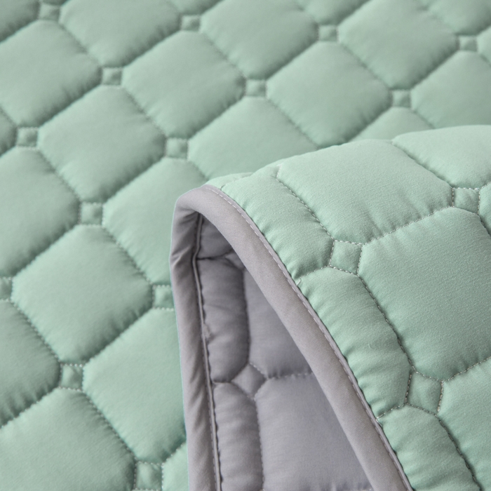 91家纺网 家纺一手货源 找家纺 拾小柒 2025新款A类原棉大豆纤维加厚床褥子床垫保护垫铺床款学生款 绿 学生款